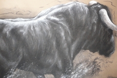"Toro bravo" Fusain et craie 100x70 cm